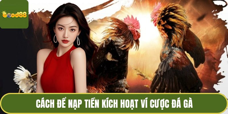 Đá Gà GOOD88 Hôm Nay - Đam Mê Ở Đấu Trường Thomo Huyền Thoại 4 Cách để nạp tiền kích hoạt ví cược đá gà