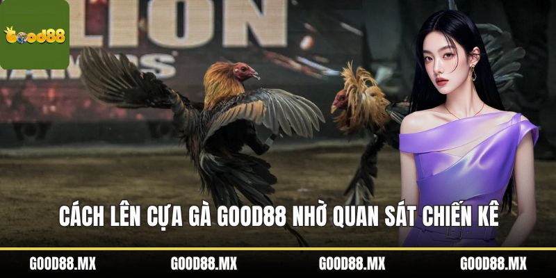 Cách Lên Cựa Gà GOOD88 Nhờ Quan Sát Chiến Kê Chuyên Nghiệp