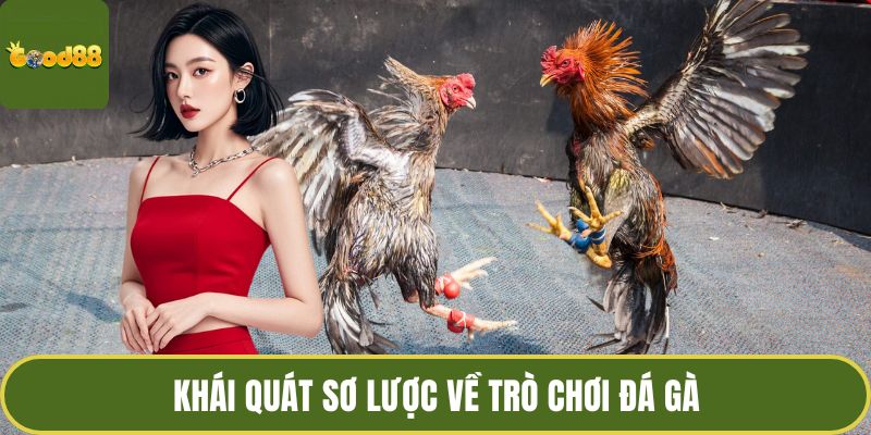 Cách Đặt Cược Đá Gà GOOD88 - Chinh Phục Đấu Trường Sôi Động 2 Khái quát sơ lược về trò chơi đá gà