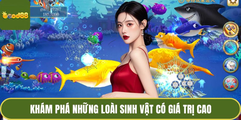 JDB Bắn Cá Long Vương - Thế Giới Đại Dương Đầy Màu Sắc 4 Khám phá những loài sinh vật có giá trị cao