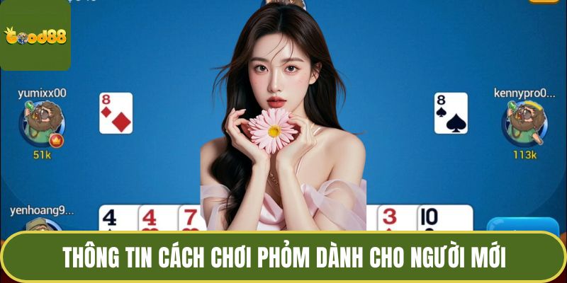 Cách Chơi Phỏm Chuẩn Xác Và Chiến Thuật Cho Người Mới 2 Thông tin cách chơi phỏm dành cho người mới